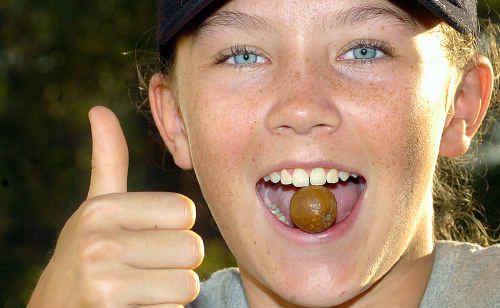 Bauple’s Rebecca Mangham, 12, loves her Bauple nuts but not enough to try cracking one with her teeth. Bauple’s Rebecca Mangham, 12, loves her Bauple nuts but not enough to try cracking one with her teeth.